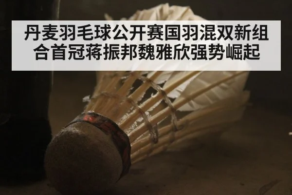 丹麦羽毛球公开赛国羽混双新组合首冠蒋振邦魏雅欣强势崛起