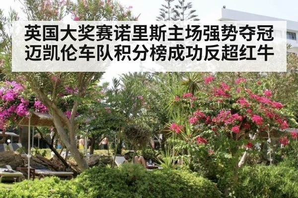 英国大奖赛诺里斯主场强势夺冠迈凯伦车队积分榜成功反超红牛