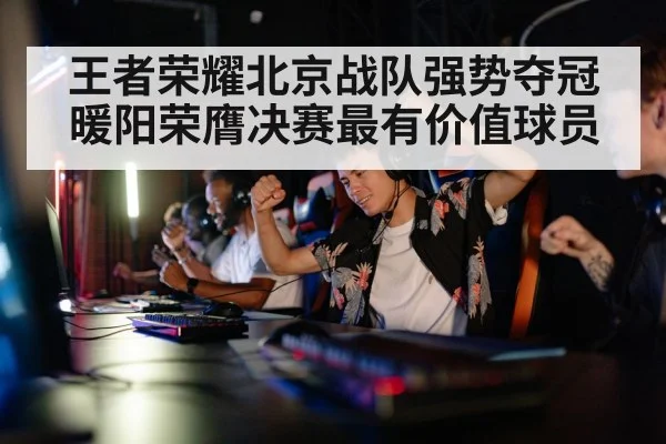 王者荣耀北京战队强势夺冠暖阳荣膺决赛最有价值球员